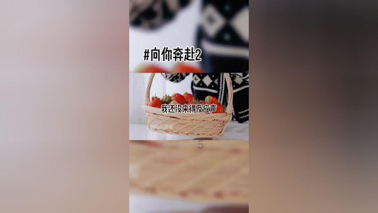 极地大逃亡