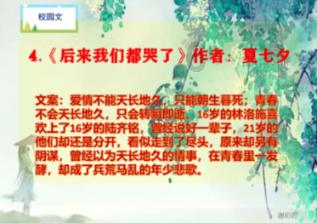 安全的港口
