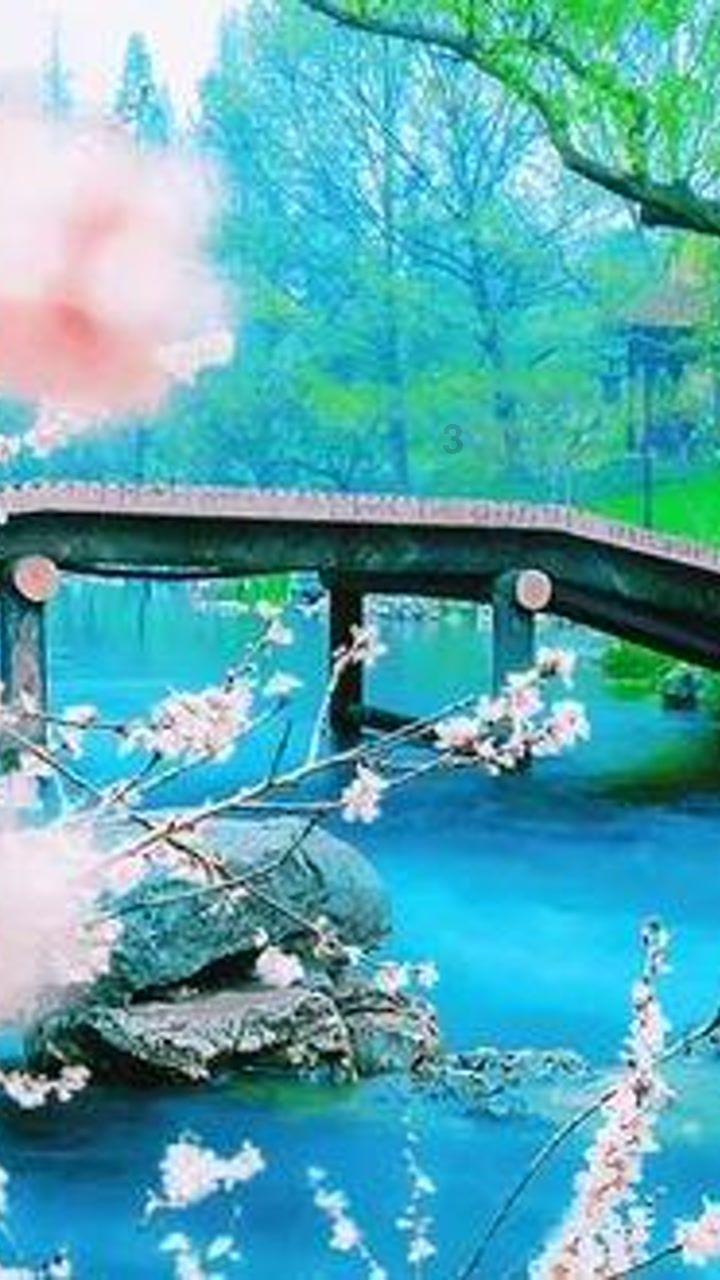 足球进球框